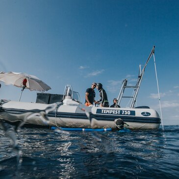 Baptême de plongée en région PACA et Corse Baptême de plongée en région PACA et Corse