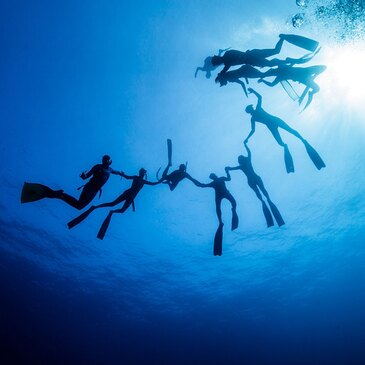 Villeneuve-Loubet, Alpes Maritimes (06) - Baptême de plongée Villeneuve-Loubet, Alpes Maritimes (06) - Baptême de plongée