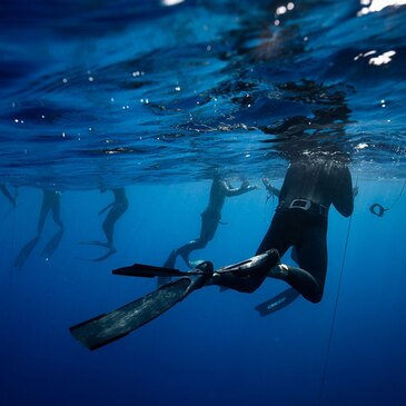 Baptême de plongée proche Villeneuve-Loubet Baptême de plongée proche Villeneuve-Loubet
