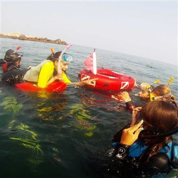 Villeneuve-Loubet, Alpes Maritimes (06) - Snorkeling Villeneuve-Loubet, Alpes Maritimes (06) - Snorkeling