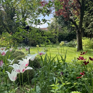 Offrir Spa, Massage et Soin du corps département Seine Saint Denis Offrir Spa, Massage et Soin du corps département Seine Saint Denis