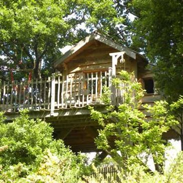 Cabane dans les Arbres près des Sables-d'Olonne Cabane dans les Arbres près des Sables-d'Olonne