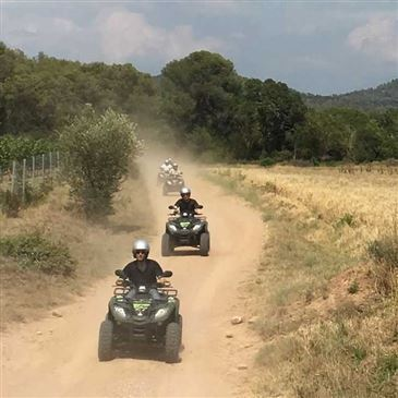 Quad & Buggy, département Var Quad & Buggy, département Var