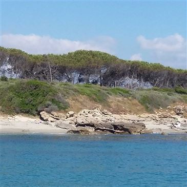 Balade en bateau, département Haute Corse Balade en bateau, département Haute Corse