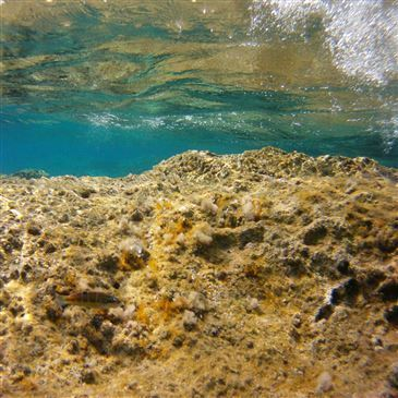Santa Maria Poggio, Haute Corse (2B) - Balade en bateau Santa Maria Poggio, Haute Corse (2B) - Balade en bateau