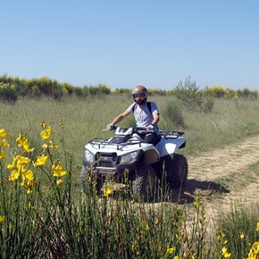 Randonnée en Quad près d'Avignon Randonnée en Quad près d'Avignon