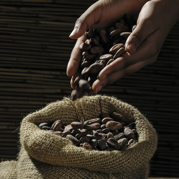 Cours de Cuisine en région Ile-de-France Cours de Cuisine en région Ile-de-France