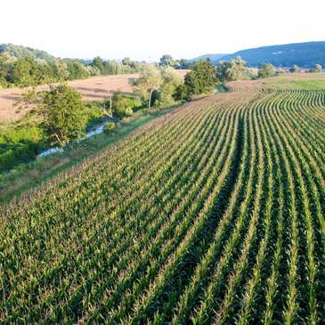 Giverny, Eure (27) - Baptême de l'air montgolfière Giverny, Eure (27) - Baptême de l'air montgolfière