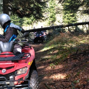 Quad & Buggy en région Auvergne