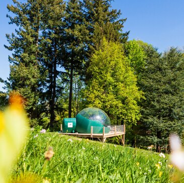 Nuit en Bulle près de Grenoble Nuit en Bulle près de Grenoble