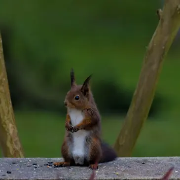 Weekend et Hébergement Insolite proche Lamonzie-Saint-Martin Weekend et Hébergement Insolite proche Lamonzie-Saint-Martin