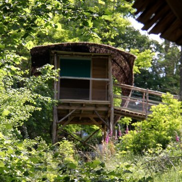 Les Epesses, à 10 min du Puy du Fou, Vendée (85) - Weekend et Hébergement Insolite Les Epesses, à 10 min du Puy du Fou, Vendée (85) - Weekend et Hébergement Insolite