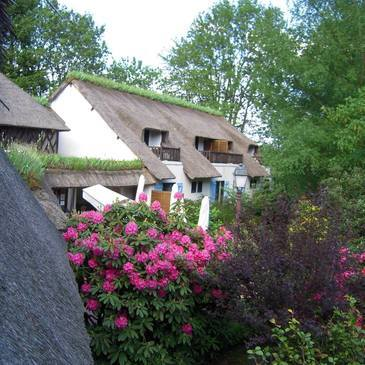 Weekend Gastronomique au Petit Coq aux Champs à Campigny Weekend Gastronomique au Petit Coq aux Champs à Campigny