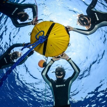 Stage De Plongee Niveau 1 En Apnee A Villeneuve La Garenne