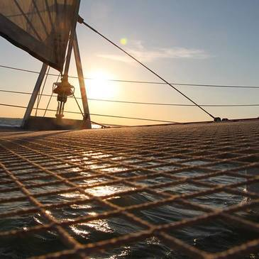 Balade en bateau, département Charente maritime Balade en bateau, département Charente maritime