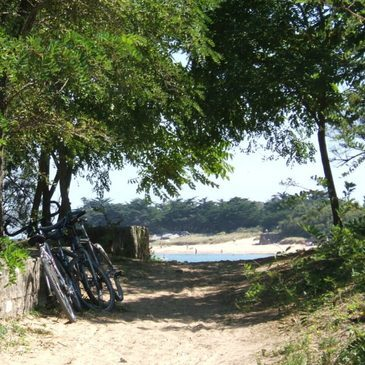 Offrir Week end en Amoureux en Poitou-Charentes Offrir Week end en Amoureux en Poitou-Charentes