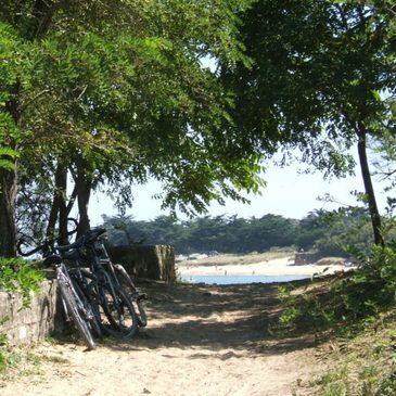 Offrir Week end en Amoureux département Charente maritime Offrir Week end en Amoureux département Charente maritime