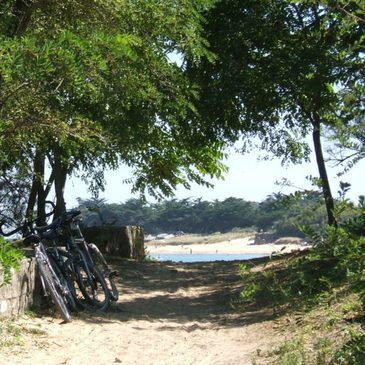 Offrir Week end Gastronomique département Charente maritime Offrir Week end Gastronomique département Charente maritime