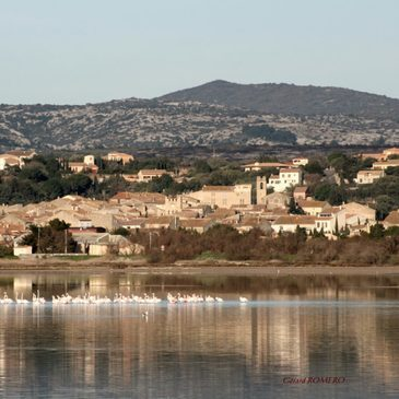 Baptême de l'air hélicoptère proche Saint-Pierre-la-Mer, à 30 min de Narbonne Baptême de l'air hélicoptère proche Saint-Pierre-la-Mer, à 30 min de Narbonne