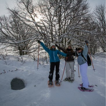 Randonnée en Raquette dans les Vosges Randonnée en Raquette dans les Vosges
