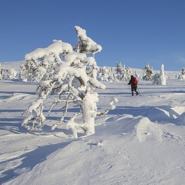 Randonnée en Raquette, département Haut rhin Randonnée en Raquette, département Haut rhin