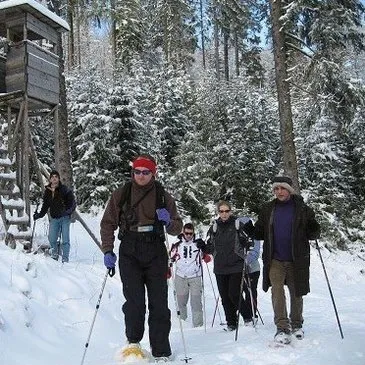 Haut rhin (68) Alsace - Montagne - Sports d&#39;Hiver