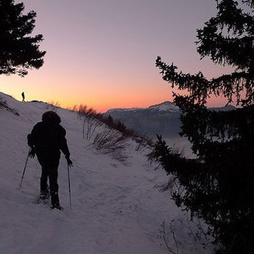Randonnée en Raquette proche Ballons des Vosges Randonnée en Raquette proche Ballons des Vosges
