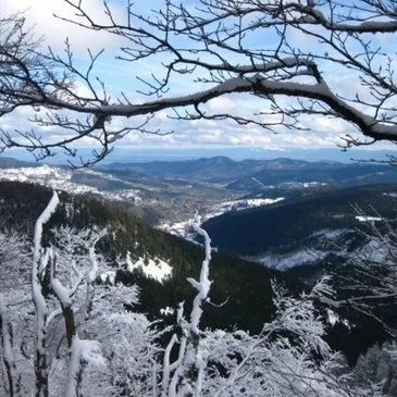 Randonnée en Raquette dans les Vosges en région Alsace