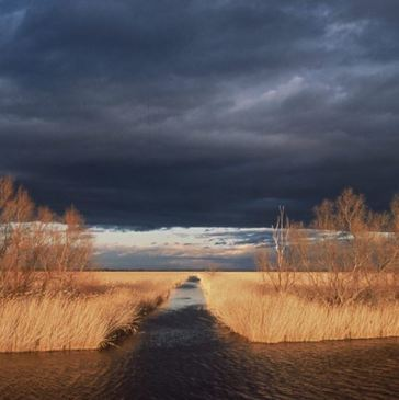 Aigues-Mortes, à 45 min d'Arles, Bouches du Rhône (13) - Stage de pilotage 4x4 Aigues-Mortes, à 45 min d'Arles, Bouches du Rhône (13) - Stage de pilotage 4x4