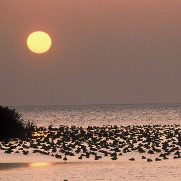 Stage de pilotage 4x4 proche Aigues-Mortes, à 45 min d'Arles Stage de pilotage 4x4 proche Aigues-Mortes, à 45 min d'Arles