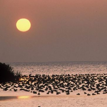 Stage de pilotage 4x4 proche Aigues-Mortes Stage de pilotage 4x4 proche Aigues-Mortes