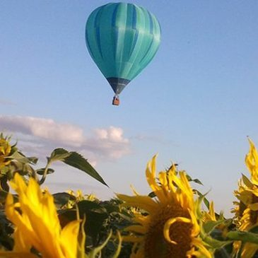 Aube (10) Champagne-Ardenne - Sport Aérien Aube (10) Champagne-Ardenne - Sport Aérien