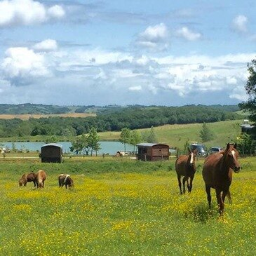 Week-end en Roulotte près d'Auch Week-end en Roulotte près d'Auch