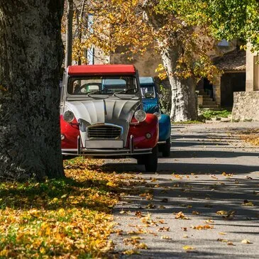 Balade en 2CV avec Dégustation de Vin à Bordeaux Balade en 2CV avec Dégustation de Vin à Bordeaux
