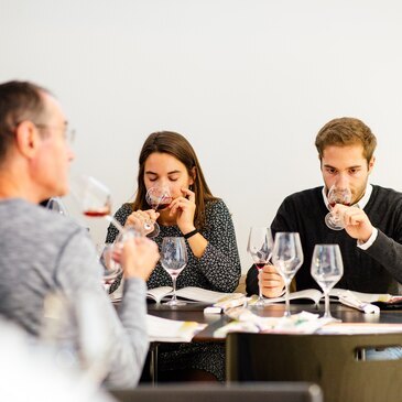 Cours d&#39;œnologie en région Pays-de-la-Loire