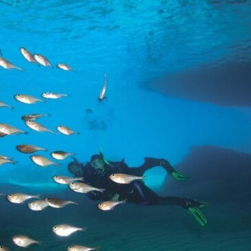 Baptême de Plongée au Cap Cerbère près de Banyuls-sur-Mer Baptême de Plongée au Cap Cerbère près de Banyuls-sur-Mer