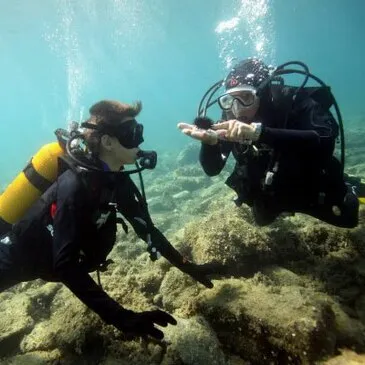 Brevet de Plongée au Cap Cerbère près de Banyuls-sur-Mer Brevet de Plongée au Cap Cerbère près de Banyuls-sur-Mer