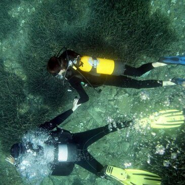 Brevet de Plongée Sous Marine, département Pyrénées orientales Brevet de Plongée Sous Marine, département Pyrénées orientales