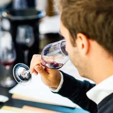 Cours d'œnologie, département Finistère Cours d'œnologie, département Finistère