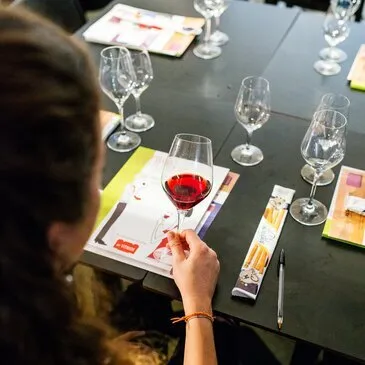 Cours d&#39;œnologie en région Pays-de-la-Loire