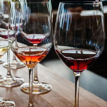 Cours d'Œnologie à Nîmes Cours d'Œnologie à Nîmes