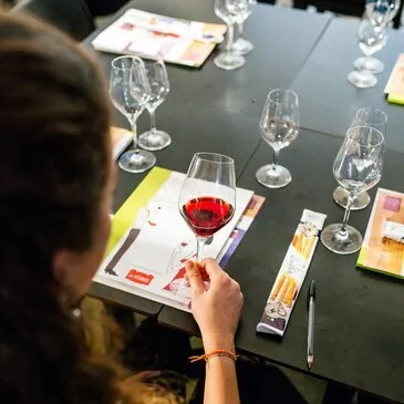 Cours d'œnologie en région PACA et Corse Cours d'œnologie en région PACA et Corse