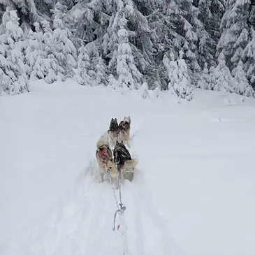 Isère (38) Rhône-Alpes - Montagne - Sports d'Hiver Isère (38) Rhône-Alpes - Montagne - Sports d'Hiver