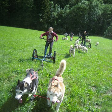 Conduite d'un Attelage de Chiens de Traîneau près de Grenoble en région Rhône-Alpes Conduite d'un Attelage de Chiens de Traîneau près de Grenoble en région Rhône-Alpes