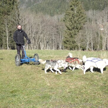 Réserver Chien de Traîneau département Isère Réserver Chien de Traîneau département Isère