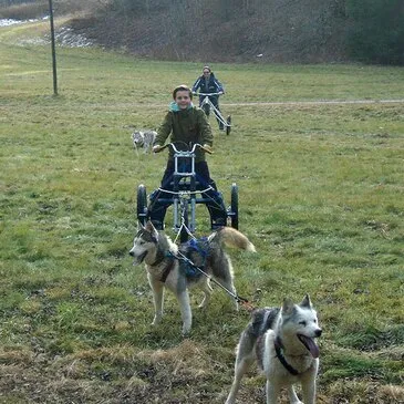 La Ferrière, à 45 min de Grenoble, Isère (38) - Chien de Traîneau La Ferrière, à 45 min de Grenoble, Isère (38) - Chien de Traîneau