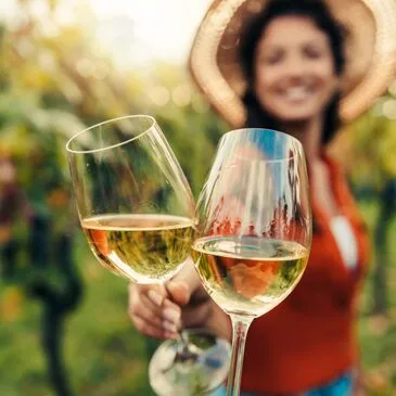 Cours d'Œnologie dans un Château près de Nantes Cours d'Œnologie dans un Château près de Nantes