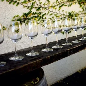 Cours d'œnologie en région Pays-de-la-Loire Cours d'œnologie en région Pays-de-la-Loire