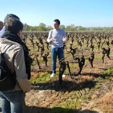 Cours d'œnologie proche Gorges, à 35 min de Nantes Cours d'œnologie proche Gorges, à 35 min de Nantes
