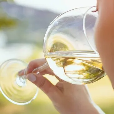 Réserver Cours d'œnologie département Loire Atlantique Réserver Cours d'œnologie département Loire Atlantique